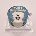 Avatar of Usman Rafiq